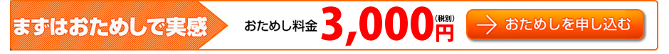 おためし料金3,240円(税抜3,000円)