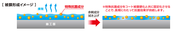 被膜形成イメージ